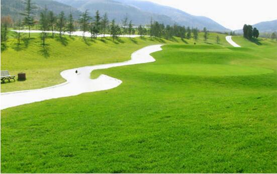 园林绿化改造工程施工常见误区,您中招了吗?